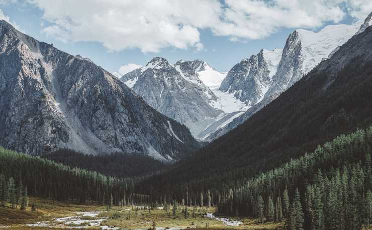 2024车辆热点：新能源智能驾驶新趋势